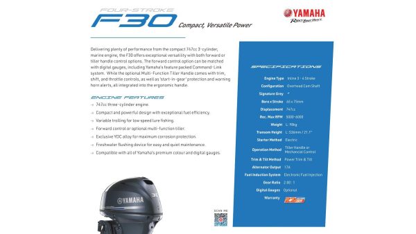 Yamaha 4 Stroke 30hp Long Shaft, Forward Control EFI OUTBOARD - Image 3